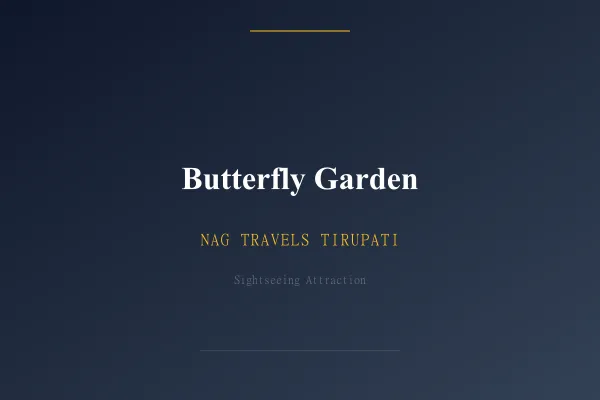 Butterfly Garden