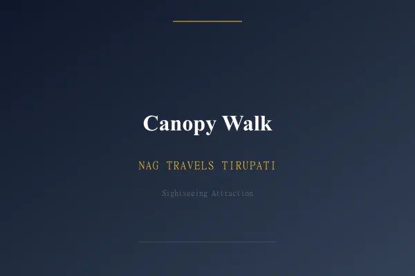 Canopy Walk