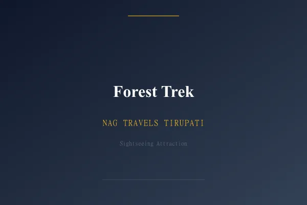 Forest Trek