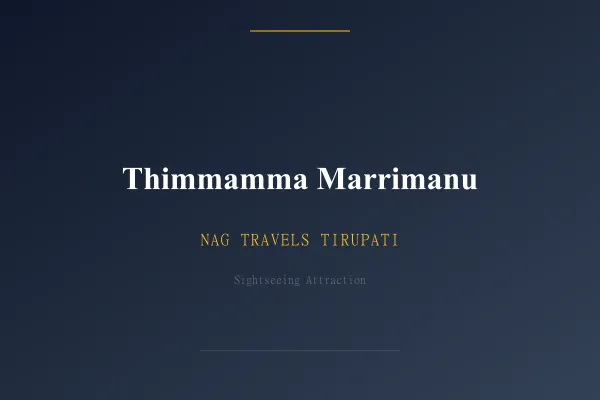 Thimmamma Marrimanu