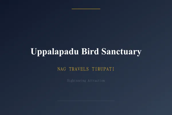 Uppalapadu Bird Sanctuary